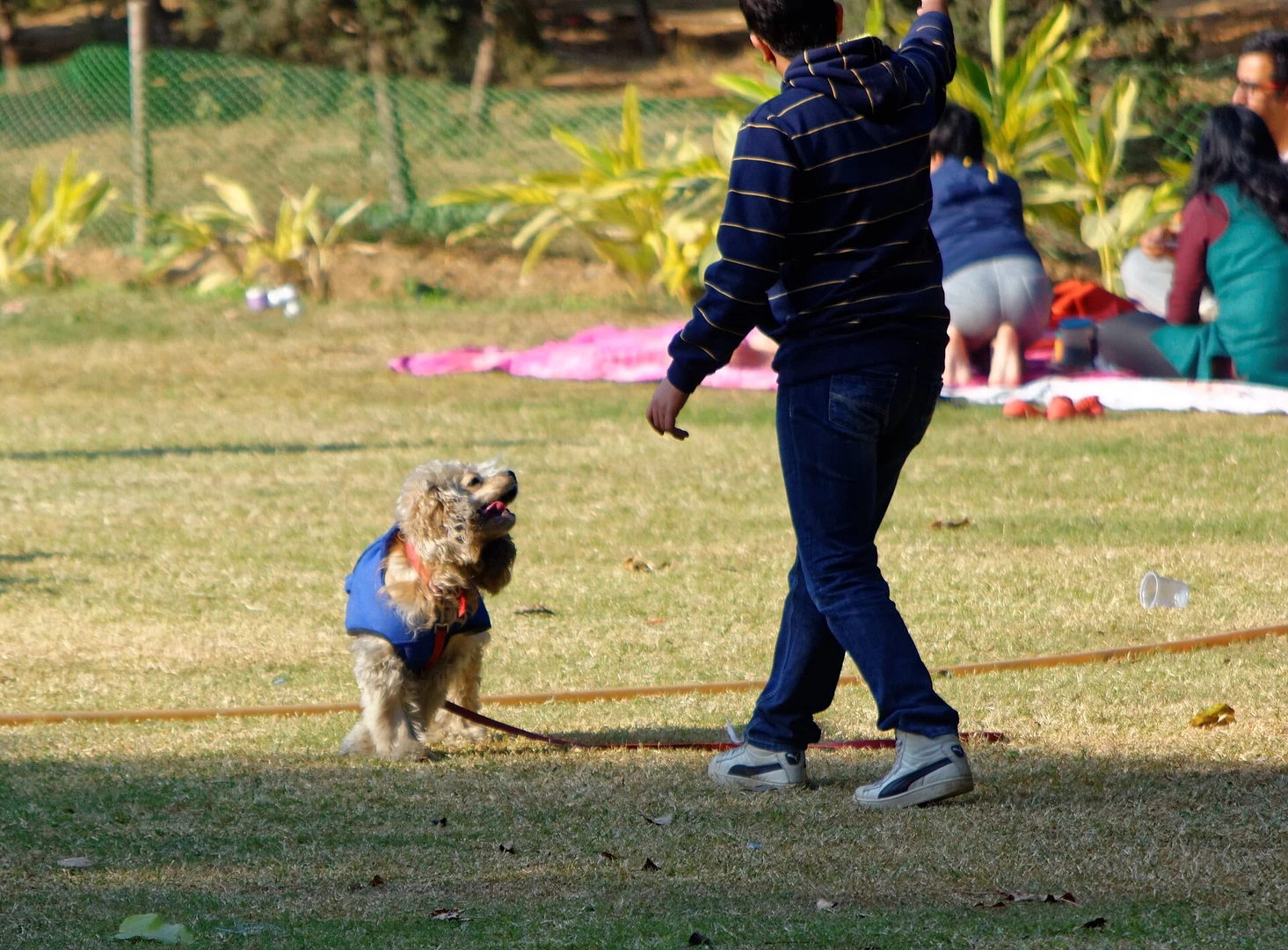 लोधी गार्डन में खुले स्थान पर व्यक्ति और कुत्ता
